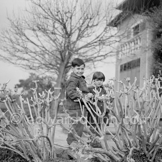 Claude Picasso and Paloma Picasso in the garden of La Galloise. Vallauris 1953. - Photo by Edward Quinn