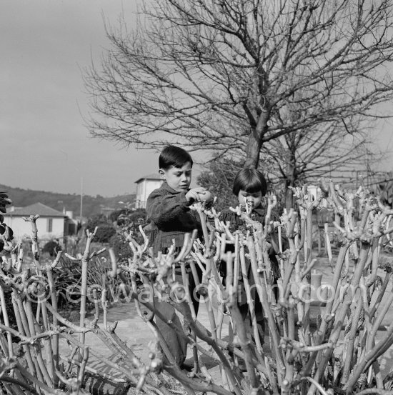 Claude Picasso and Paloma Picasso in the garden of La Galloise. Vallauris 1953. - Photo by Edward Quinn