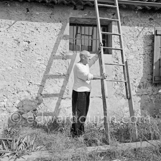 Pablo Picasso with ladder outside studio Le Fournas, Vallauris 1953. - Photo by Edward Quinn