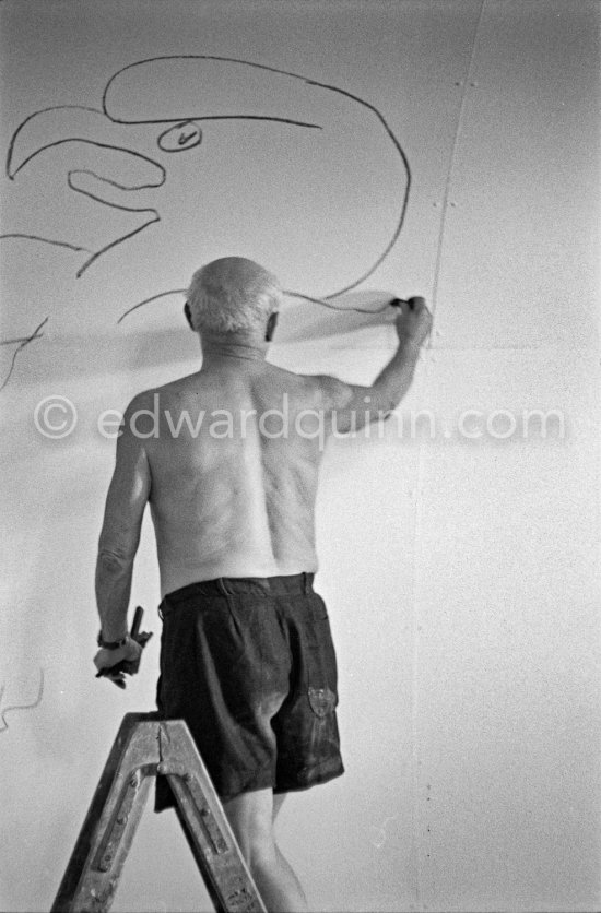 Pablo Picasso working on the "War and Peace study" drawings on the wall of Chapelle de la Paix (or Temple de la Paix) for the documentary film of Luciano Emmer. (The panels of War and Peace of 1952 were away on exhibition). Vallauris 1953. - Photo by Edward Quinn