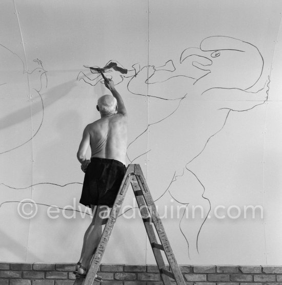 Pablo Picasso working on the "War and Peace study" drawings on the wall of Chapelle de la Paix (or Temple de la Paix) for the documentary film of Luciano Emmer. (The panels of War and Peace of 1952 were away on exhibition). Vallauris 1953. - Photo by Edward Quinn