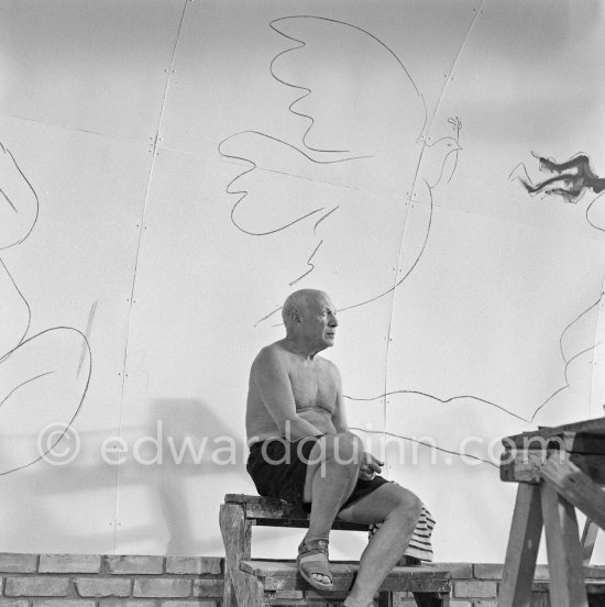 Pablo Picasso working on the "War and Peace study" drawings on the wall of Chapelle de la Paix (or Temple de la Paix) for the documentary film of Luciano Emmer. (The panels of War and Peace of 1952 were away on exhibition). Vallauris 1953. - Photo by Edward Quinn