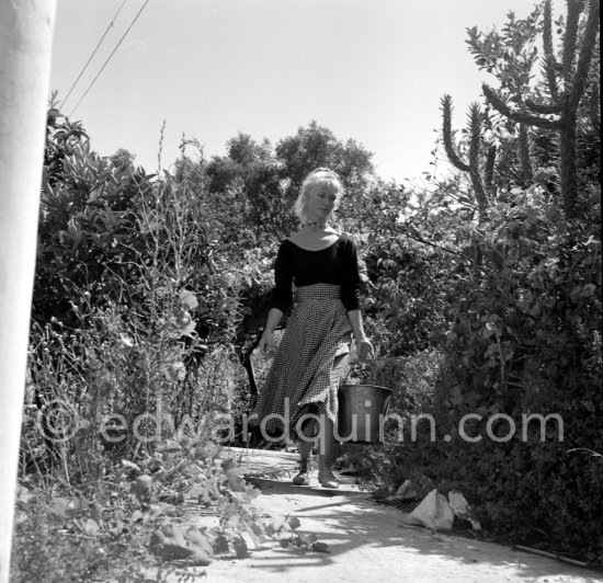 A young art student, Sylvette David, was chosen by Pablo Picasso as model in 1954. for a series of paintings and drawings. Vallauris 1954. - Photo by Edward Quinn