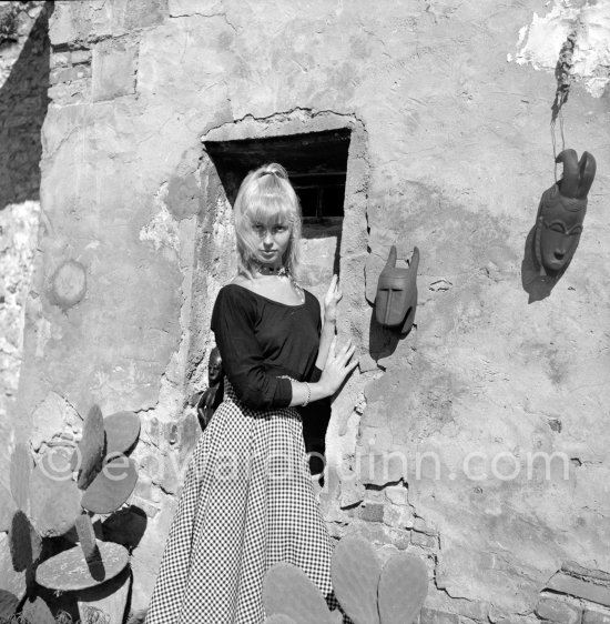 A young art student, Sylvette David, was chosen by Pablo Picasso as model in 1954 for a series of paintings and drawings. Vallauris 1954. - Photo by Edward Quinn