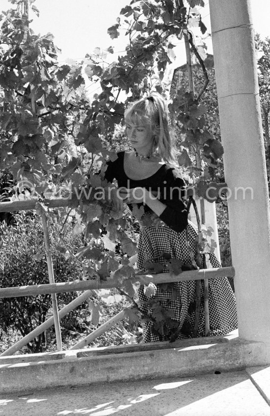 A young art student, Sylvette David, was chosen by Pablo Picasso as model in 1954. for a series of paintings and drawings. Vallauris 1954. - Photo by Edward Quinn