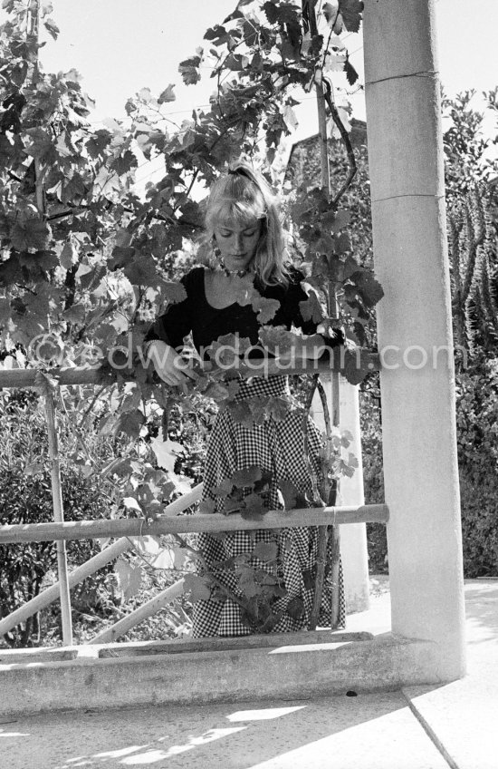 A young art student, Sylvette David, was chosen by Pablo Picasso as model in 1954 for a series of paintings and drawings. Vallauris 1954. - Photo by Edward Quinn