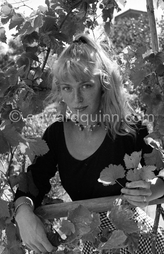 A young art student, Sylvette David, was chosen by Pablo Picasso as model in 1954 for a series of paintings and drawings. Vallauris 1954. - Photo by Edward Quinn