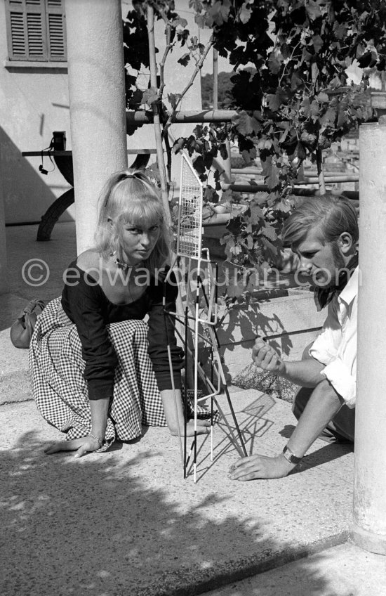 A young art student, Sylvette David, was chosen by Pablo Picasso as model in 1954 for a series of paintings and drawings. With her fiancée Toby Jellinek. Vallauris 1954. - Photo by Edward Quinn