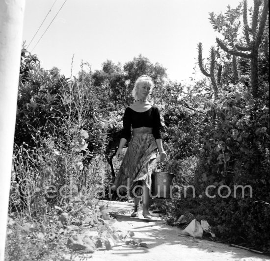 A young art student, Sylvette David, was chosen by Pablo Picasso as model in 1954 for a series of paintings and drawings. Vallauris 1954. - Photo by Edward Quinn