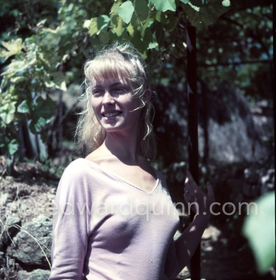 A young art student, Sylvette David, was chosen by Pablo Picasso as model in 1954 for a series of paintings and drawings. Vallauris 1954. - Photo by Edward Quinn