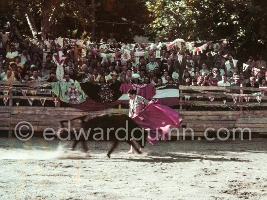 Spanish torero Luis Marca. On the grandstand Françoise, Pablo Picasso, Paul Derigon, the mayor of Vallauris, Hélène Parmelin, Edouard Pignon. First Corrida of Vallauris 1954. - Photo by Edward Quinn