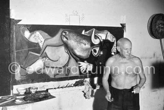 Picasso portrays a stage in the bullfight when the bullfighter is caught by the horns of the bull. During filming of "Le mystère Picasso" ("The Mystery of Picasso") by Henri-Georges Clouzot. Nice, Studios de la Victorine, 1955. - Photo by Edward Quinn