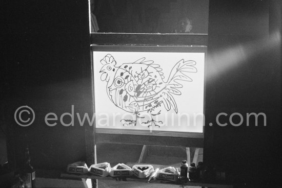 Something begun as a bouquet has become first a fish, then a cock, and finally the head of a faun. "Le mystère Picasso", Nice, Studios de la Victorine 1955. - Photo by Edward Quinn