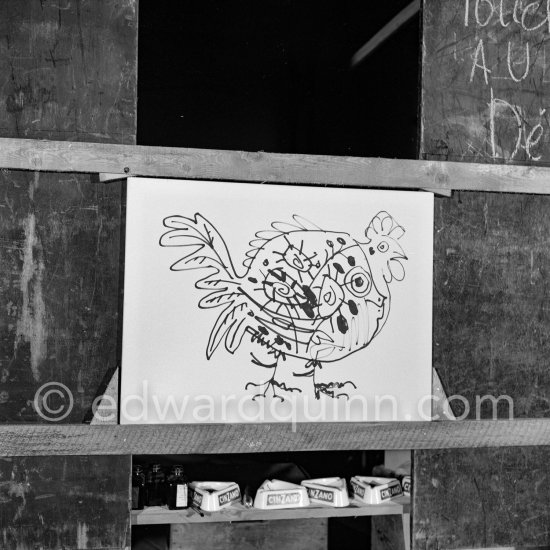 Something begun as a bouquet has become first a fish, then a cock, and finally the head of a faun. "Le mystère Picasso", Nice, Studios de la Victorine 1955. - Photo by Edward Quinn