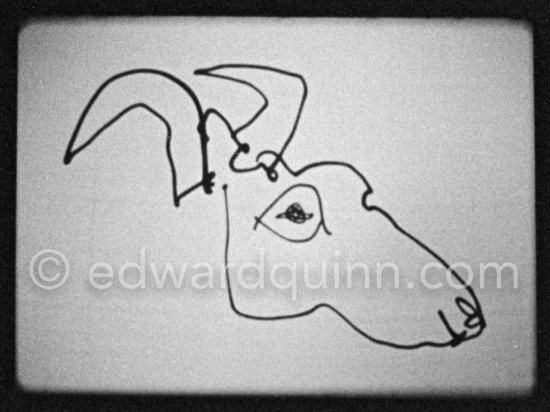 Development of goat painting. "Le mystère Picasso", Nice, Studios de la Victorine 1955. - Photo by Edward Quinn