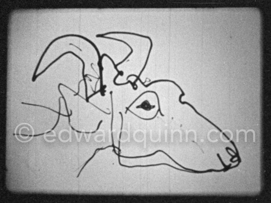 Development of goat painting. "Le mystère Picasso", Nice, Studios de la Victorine 1955. - Photo by Edward Quinn