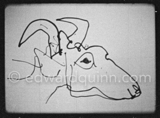 Development of goat painting. "Le mystère Picasso", Nice, Studios de la Victorine 1955. - Photo by Edward Quinn