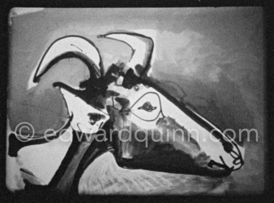 Development of goat painting. "Le mystère Picasso", Nice, Studios de la Victorine 1955. - Photo by Edward Quinn