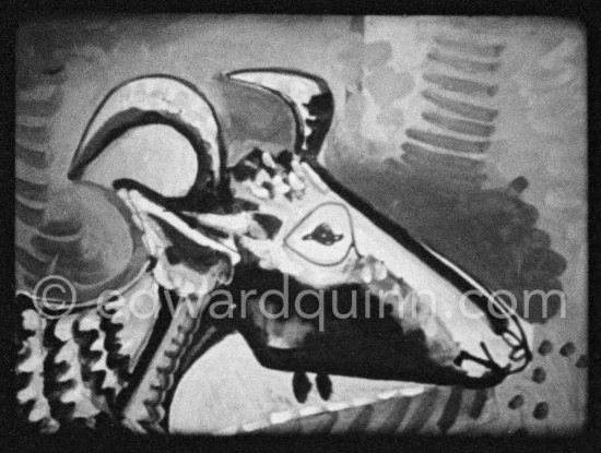 Development of goat painting. "Le mystère Picasso", Nice, Studios de la Victorine 1955. - Photo by Edward Quinn