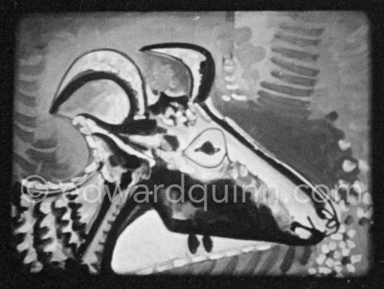 Development of goat painting. "Le mystère Picasso", Nice, Studios de la Victorine 1955. - Photo by Edward Quinn