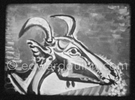 Development of goat painting. "Le mystère Picasso", Nice, Studios de la Victorine 1955. - Photo by Edward Quinn