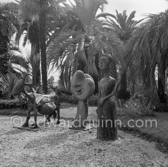 Sculptures in the gardens of La Californie, Cannes 1956. - Photo by Edward Quinn
