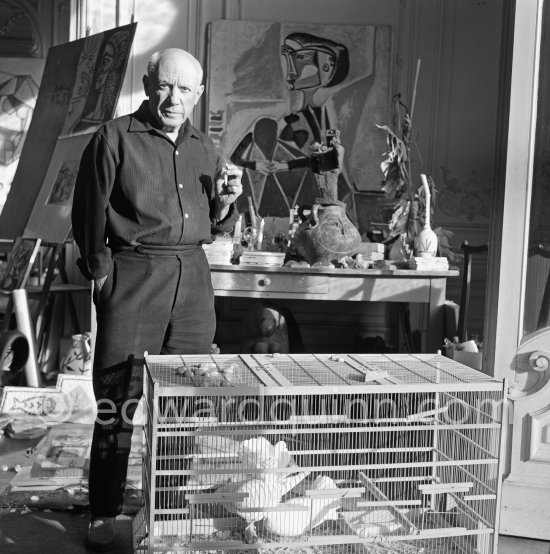 Pablo Picasso with his doves which live in a birdcage in his studio. La Californie, Cannes 1956. - Photo by Edward Quinn