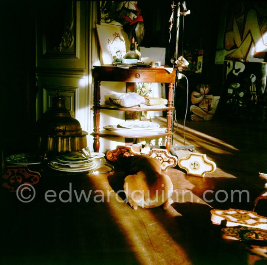 Pablo Picasso's boxer dog Jan. La Californie, Cannes 1956. - Photo by Edward Quinn