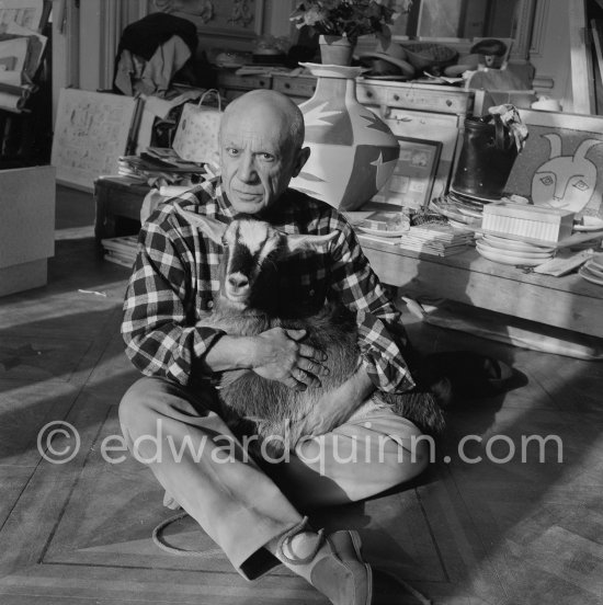 Pablo Picasso with the goat Esmeralda at Christmas 1956. She was a Christmas present from Jacqueline. La Californie, Cannes 1956. - Photo by Edward Quinn