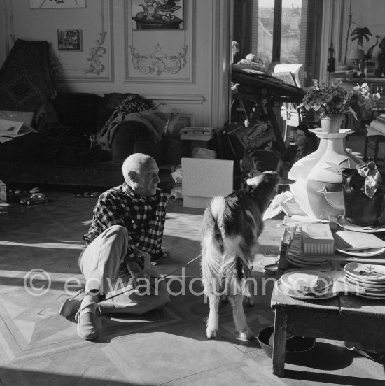 Pablo Picasso with the goat Esmeralda at Christmas 1956. She was a Christmas present from Jacqueline. La Californie, Cannes 1956. - Photo by Edward Quinn