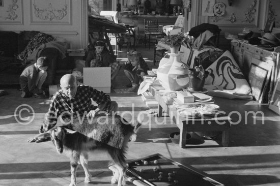 Pablo Picasso with the goat Esmeralda at Christmas 1956. She was a Christmas present from Jacqueline. Claude Picasso, Cathy and Paloma Picasso in the background. La Californie, Cannes 1956. - Photo by Edward Quinn