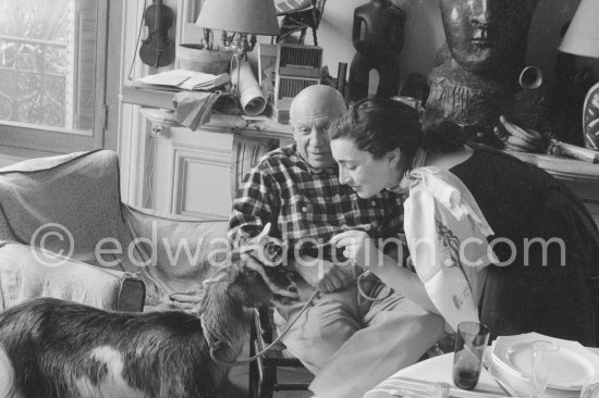 Pablo Picasso and Jacqueline with the goat Esmeralda at Christmas 1956. She was a Christmas present from Jacqueline. La Californie, Cannes 1956. - Photo by Edward Quinn