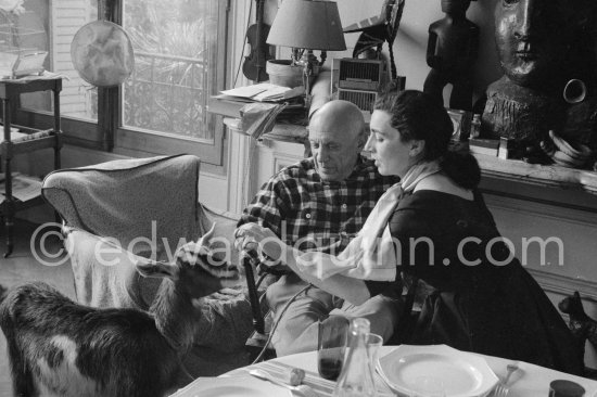 Pablo Picasso and Jacqueline with the goat Esmeralda at Christmas 1956. She was a Christmas present from Jacqueline. La Californie, Cannes 1956. - Photo by Edward Quinn
