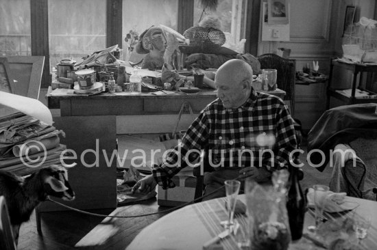 Picasso with the goat Esmeralda at Christmas 1956. She was a Christmas present from Jacqueline. La Californie, Cannes 1956. - Photo by Edward Quinn