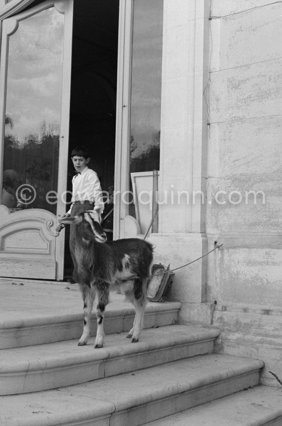Claude Picasso with Esmeralda, the goat his father received from Jacqueline. La Californie, Cannes 1956. - Photo by Edward Quinn