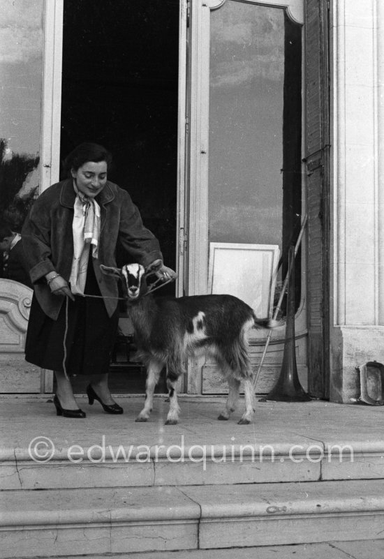 Jacqueline at Christmas with Esmeralda, the goat she gave Pablo Picasso as a present. La Californie, Cannes 1956. - Photo by Edward Quinn