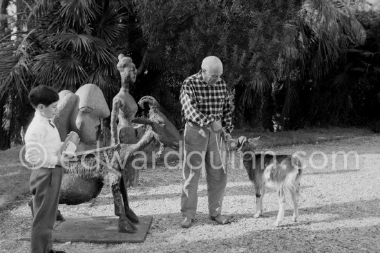 Pablo Picasso and Claude Picasso at Christmas with Esmeralda, the goat he received from Jacqueline. Claude Picasso with his Christmas present, a toy Citroën DS. Sculptures in the garden of La Californie, Cannes 1956. - Photo by Edward Quinn