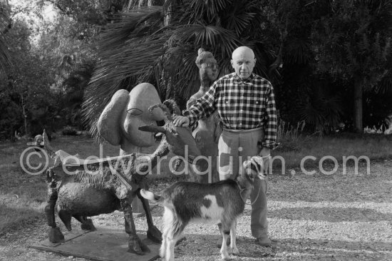 Pablo Picasso at Christmas with Esmeralda, the goat he received from Jacqueline. Sculptures in the garden La Californie, Cannes 1956. - Photo by Edward Quinn