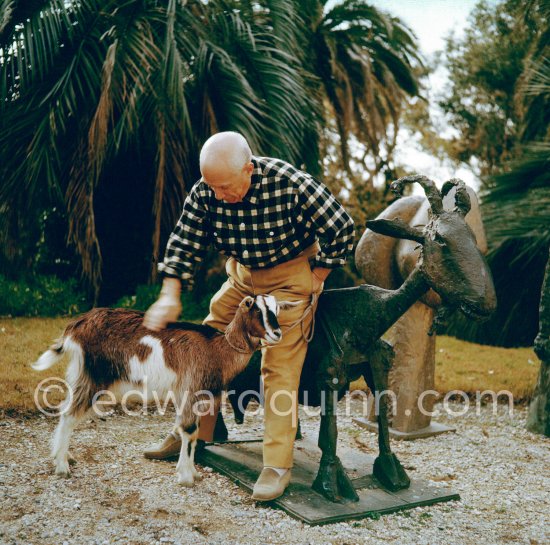 Pablo Picasso at Christmas with Esmeralda, the goat he received from Jacqueline. La Californie, Cannes 1956. - Photo by Edward Quinn