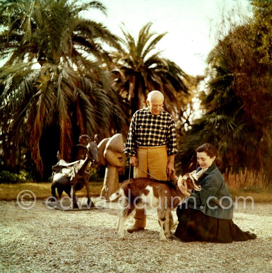 Pablo Picasso and Jacqueline at Christmas with Esmeralda, the goat he received from Jacqueline. La Californie, Cannes 1956. - Photo by Edward Quinn