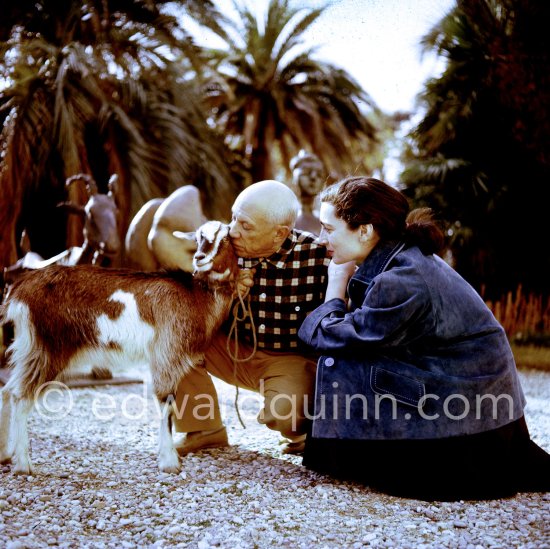 Pablo Picasso and Jacqueline at Christmas with Esmeralda, the goat he received from Jacqueline. Sculptures in the garden of La Californie, Cannes 1956. - Photo by Edward Quinn