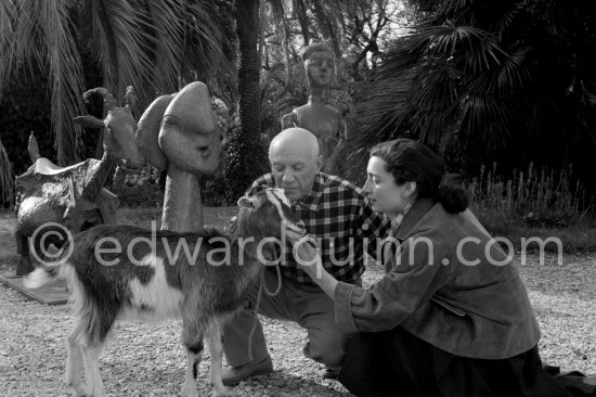 Pablo Picasso and Jacqueline at Christmas with Esmeralda, the goat he received from Jacqueline. Sculptures in the garden of La Californie, Cannes 1956. - Photo by Edward Quinn