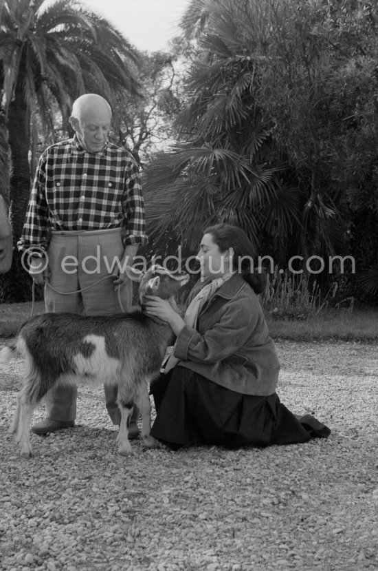 Pablo Picasso and Jacqueline at Christmas with Esmeralda, the goat he received from Jacqueline. In the garden of La Californie, Cannes 1956. - Photo by Edward Quinn