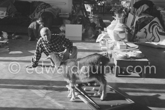 Picasso with the goat Esmeralda at Christmas 1956. She was a Christmas present from Jacqueline. Gérard Sassier, Caty and Paloma in the background. La Californie, Cannes 1956. - Photo by Edward Quinn