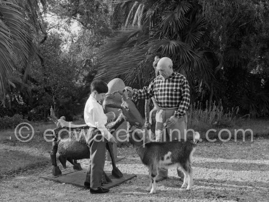 Picasso and Claude at Christmas with Esmeralda, the goat he received from Jacqueline. Sculptures in the garden of La Californie, Cannes 1956. - Photo by Edward Quinn