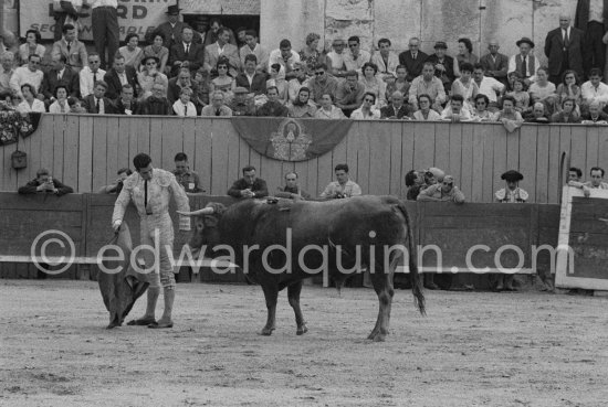 Spectators from left: Paulo Picasso, John Richardson, Douglas Cooper, Francine Weisweiller, Jean Cocteau, Pablo Picasso, Luis Miguel Dominguin (spectator because of injuries), Lucia Bosè, Jacqueline. Antonio Ordonez, a leading bullfighter in the 1950\'s and the last survivor of the dueling matadors chronicled by Hemingway in \'\'The Dangerous Summer\'\'. Corrida des vendanges. Arles 1959. Other photos of this bullfight in the bull ring see "Miscellaneous" - Photo by Edward Quinn