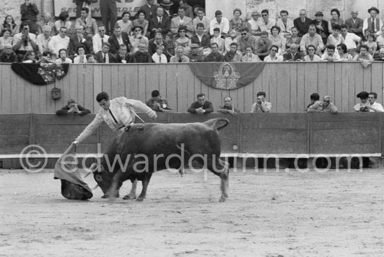 At the bullfight. Spectators from left: Paulo Picasso, John Richardson, Douglas Cooper, Francine Weisweiller, Jean Cocteau, Pablo Picasso, Luis Miguel Dominguin (spectator because of injuries), Lucia Bosè, Jacqueline. Antonio Ordonez, a leading bullfighter in the 1950\'s and the last survivor of the dueling matadors chronicled by Hemingway in \'\'The Dangerous Summer\'\'. Corrida des vendanges. Arles 1959. Other photos of this bullfight in the bull ring see "Miscellaneous" - Photo by Edward Quinn