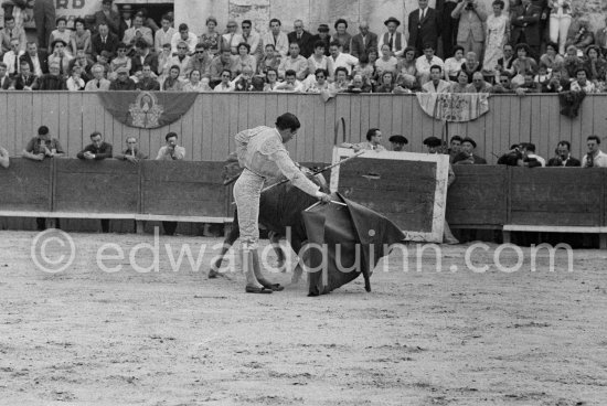 At the bullfight. Ordonez, a leading bullfighter in the 1950\'s and the last survivor of the dueling matadors chronicled by Hemingway in \'\'The Dangerous Summer\'\'. Spectators from left: Paulo Picasso, John Richardson, Douglas Cooper, Francine Weisweiller, Jean Cocteau, Pablo Picasso, Luis Miguel Dominguin (spectator because of injuries), Lucia Bosè, Jacqueline. Antonio Ordonez, Corrida des vendanges. Arles 1959. Other photos of this bullfight in the bull ring see "Miscellaneous" - Photo by Edward Quinn