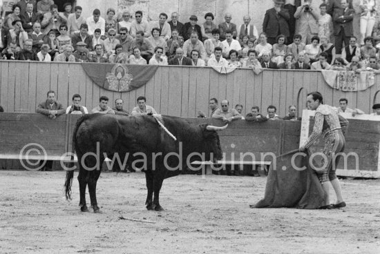 Julio Aparicio. On the grandstand from left: John Richardson, Douglas Cooper, Francine Weisweiller, Jean Cocteau, Pablo Picasso, Luis Miguel Dominguin, Lucia Bosè, Jacqueline Picasso. Corrida des vendanges. Arles 1959. - Photo by Edward Quinn