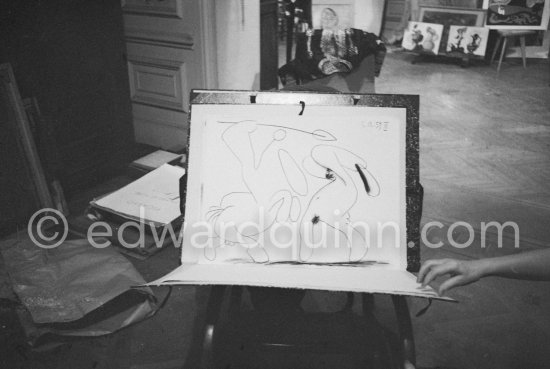 La Californie, Cannes 1959. - Photo by Edward Quinn